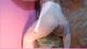 Foto privada de SpicyClaudyTS